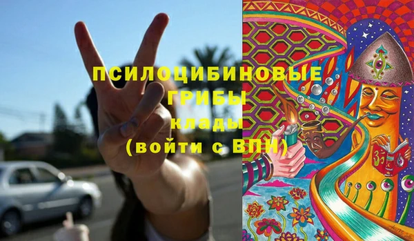 дурь Касимов