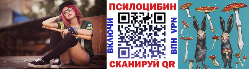 Галлюциногенные грибы Psilocybine cubensis  Купить закладки  Кизилюрт 